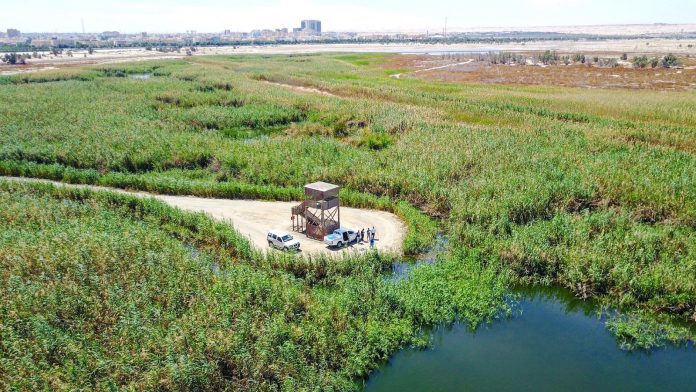 Al-Jahra Nature Reserve - A globally recognized Kuwait project