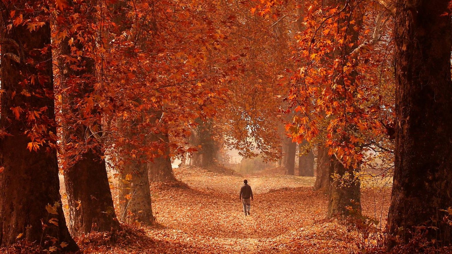 Autumn in Kashmir - TimesKuwait