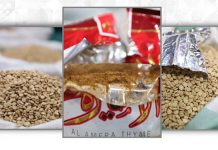 Thwarting smuggling of over a million Captagon tablets to Saudi Arabia