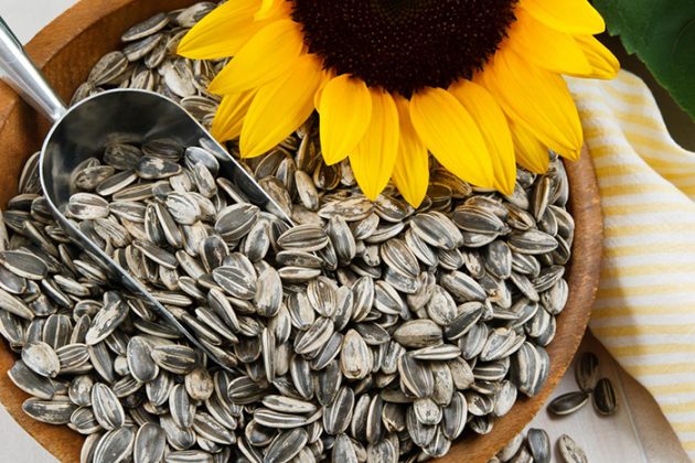 Sunflower Seeds… - TimesKuwait