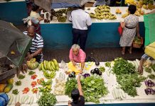 Informal Workers Need More than Legal Recognition