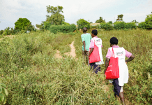 Investing in Africa’s Health