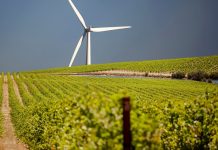 Green Development Is Now the Only Option