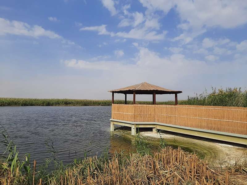 Jahra Nature Reserve Officially Opens To Public TimesKuwait