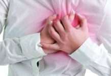 Gut helps heart tissue to fight consequences of heart attacks more effectively