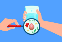 Scientific results reveal importance of the link between gut and the brain