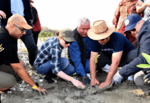 Kuwait’s major events in health and environment in 2022