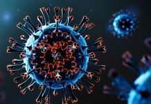 MoH detects XBB.1.5 mutant, confirms epidemiological situation remains stable