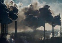 Two studies show polluted air distressing, harmful to mental health