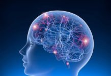 Study reveals diet significantly reduces epileptic seizures