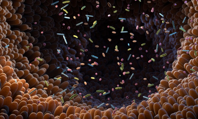 Gut microbes