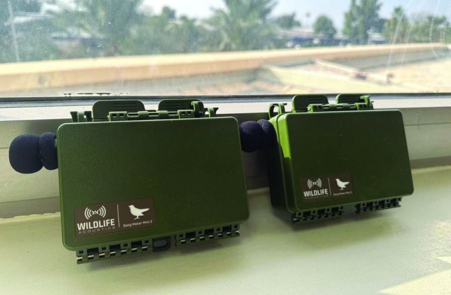 KISR deploys AI devices to monitor migratory birds in Kuwait’s nature ...