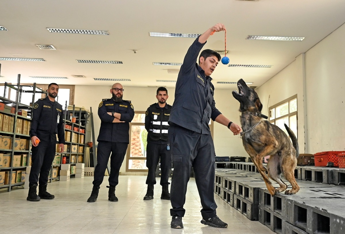 Inside Kuwait’s secret anti-smuggling frontline, 157 elite dogs hunt drugs, explosives and hidden cash