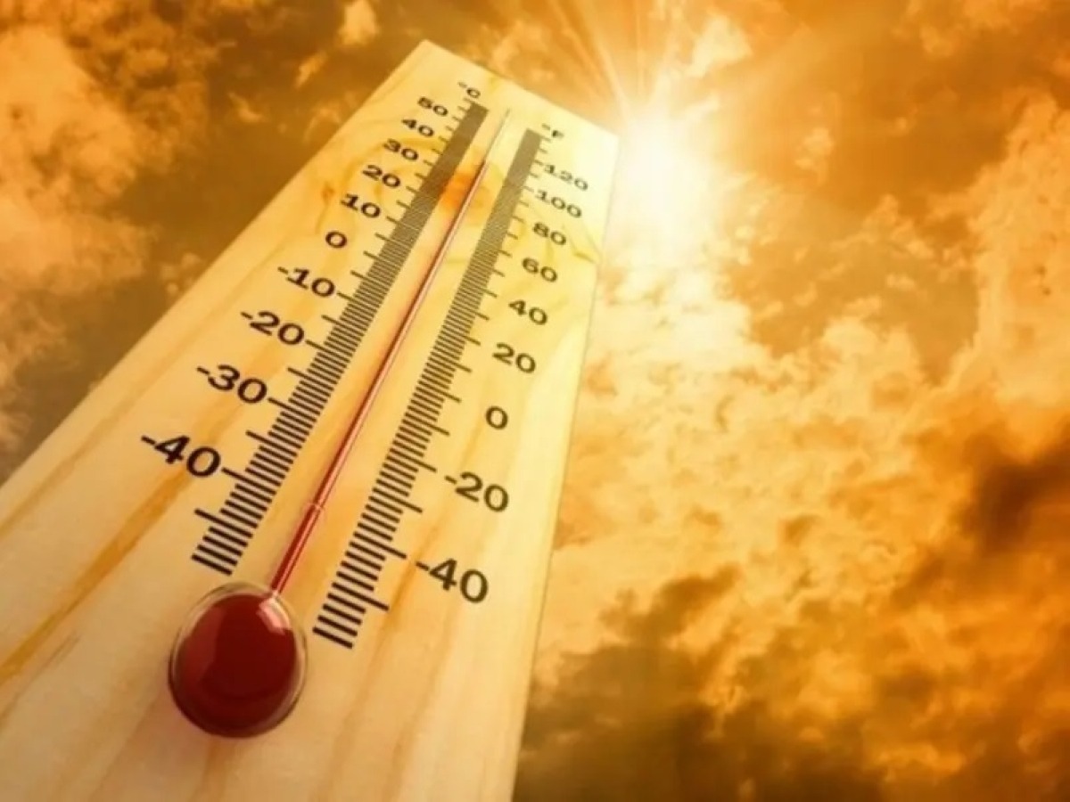 India Heatwave Kills 16: Crypto Miners Face Energy Crisis