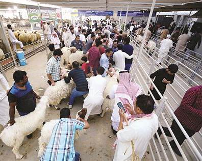 Kuwait slaughterhouses, temporary abattoirs fully prepared to handle Eid Al-Adha sacrifices