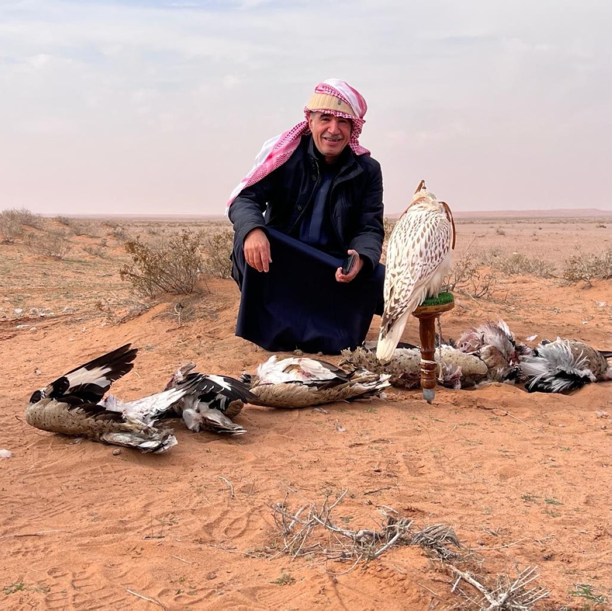 Falconry, a living heritage captured through the lens of Sau