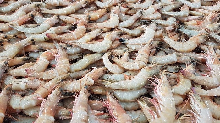 Shrimp tops Kuwait’s seafood consumption chart as 