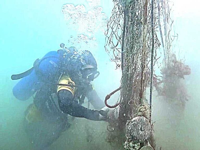 Kuwait Square Kuwaiti diving team removes quarter-ton of ghost nets from Arifjan reef ...